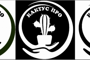 логотип для магазиа кактусов