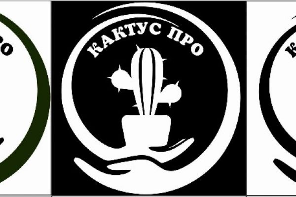 логотип для магазиа кактусов