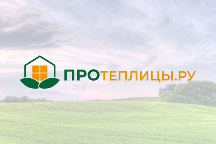 Разработка логотипа