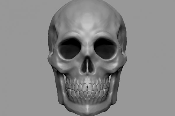 Создание черепа для печати