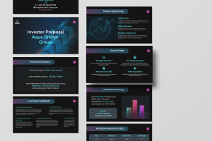 Презентация инвестиционного проекта для First Venture