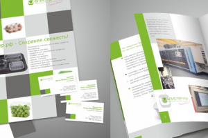 Буклет + визитки компании БЛИСТЕР.РФ