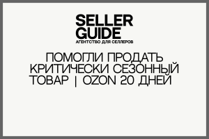 Помогли продать критически сезонный товар | Ozon