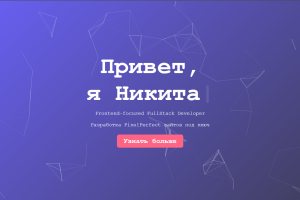 Портфолио