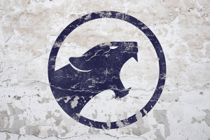 Логотип "Пантеры"