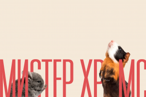 Презентация для премиального корма «Мистер Хрумс»