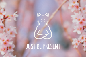 Логотип и цветовое решение для сообщества для медитаций