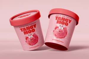 Разработка дизайна упаковки для мороженного