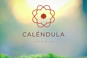 Создание бренда для эко-отеля бутик-формата