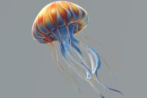 Медуза