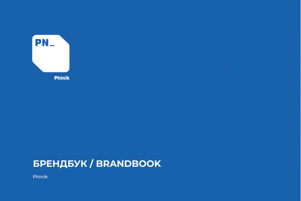 Фирменный стиль для It компании Phinik
