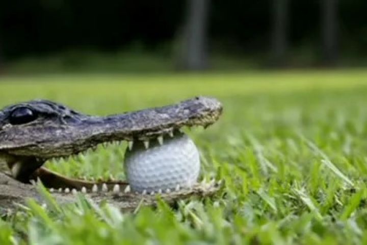 Создать изображение по примерному образцу - 5492763