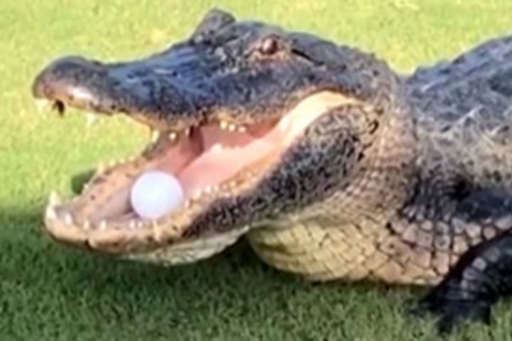 Создать изображение по примерному образцу - 5492765