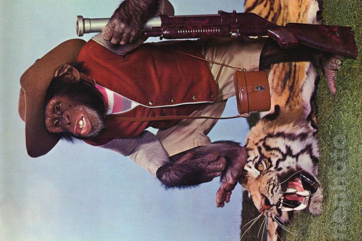 Создать изображение по примерному образцу - 5492914