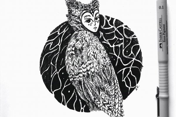 Графические работы, иллюстрация