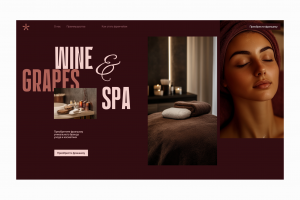 Разработка сайта франшизы спа-салона