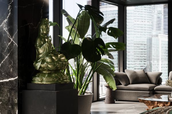 3D Визуализация гостиной с растениями и светом