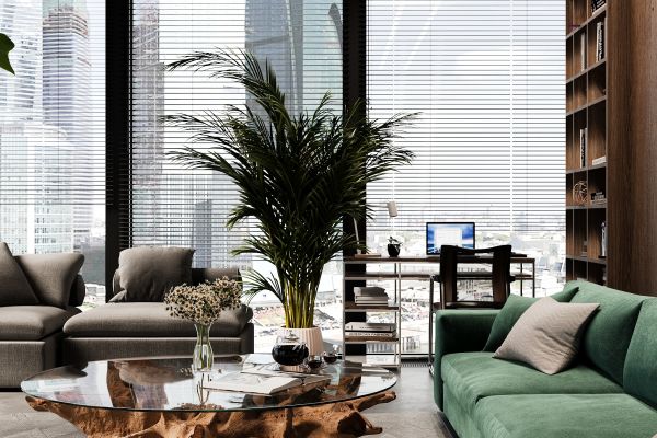 3D Визуализация гостиной с растениями и светом