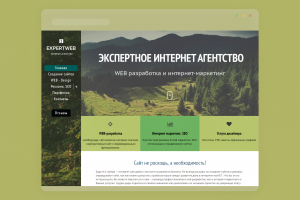 Дизайн сайта "Интернет Агентство"