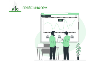 Сайт. Для одной из ведущих оценочных компаний "Прайс Информ"