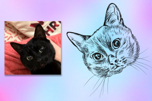 Портрет питомца для гравировки в векторе