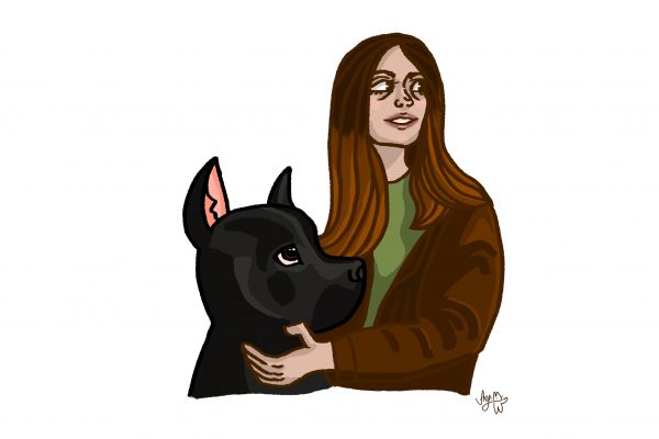 Иллюстрация на заказ