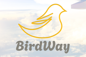 Брендинг для BirdWay — сервис о путешествиях и новых открытиях