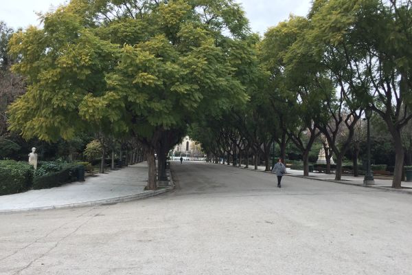 фотография 2