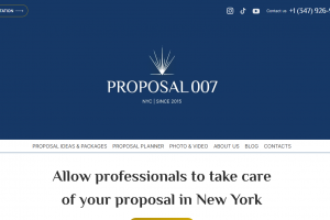 Анимация для главной страницы сайта https://proposal007.com/