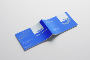 Портфолио проектов