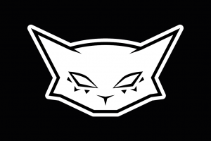 Разработка уникального логотипа, иллюстраций, инфографики и многое другое на заказ на заказ