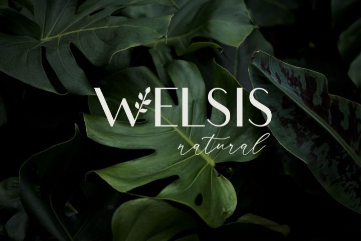 Логотип 3 варианта. Логобук. Исходники. - 5499532