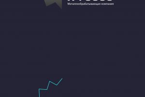 загрузить 2 вариант