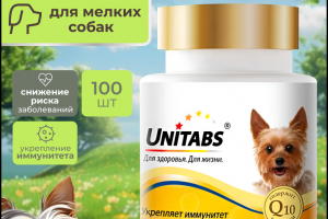 Инфографика для «Витамины для собак»