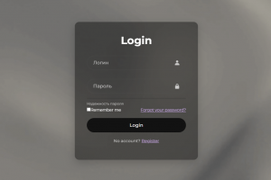 Страница входа пользователя с возможностью переключения темы
