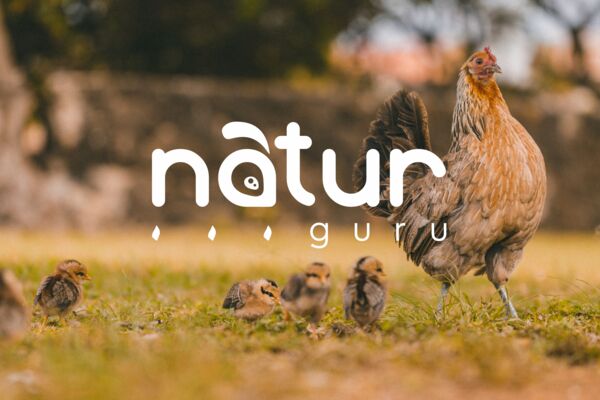 NaturGuru 1.jpg
