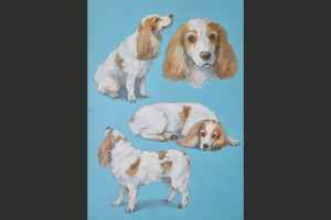 Рисунок на заказ