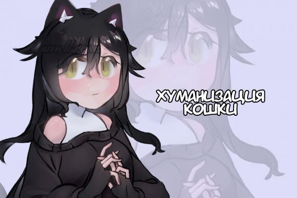 Хуманизация кошки