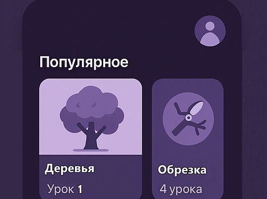 Превью2.png