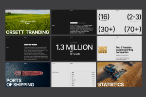 Дизайн презентации Orsett  tranding