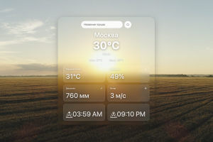 Интерактивный виджет погоды с видеофоном