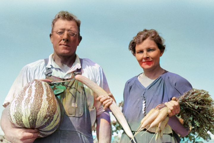 Реставрация и цветизация старых фотографий - 5502192