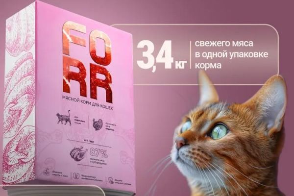 Телеграм бот