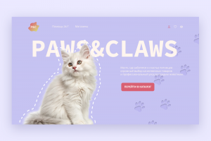 Дизайн-концепт магазина зоотоваров