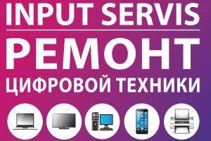 INPUT SERVICE