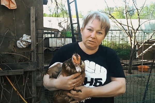 Видеомонтаж и обработка звука