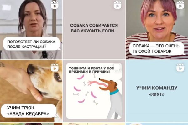 Продвижение онлайн-школы кинологии в соц.сетях