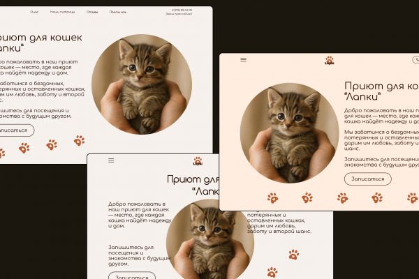 Дизайн - концепт приюта для кошек "ЛАПКИ"