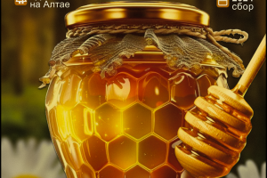 карточки для маркетплейсов