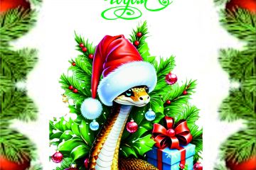 Дизайн каталога